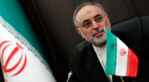 Head of the Atomic Energy Organization of Iran Ali Akbar Salehi